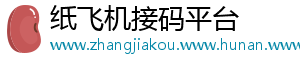 纸飞机接码平台
